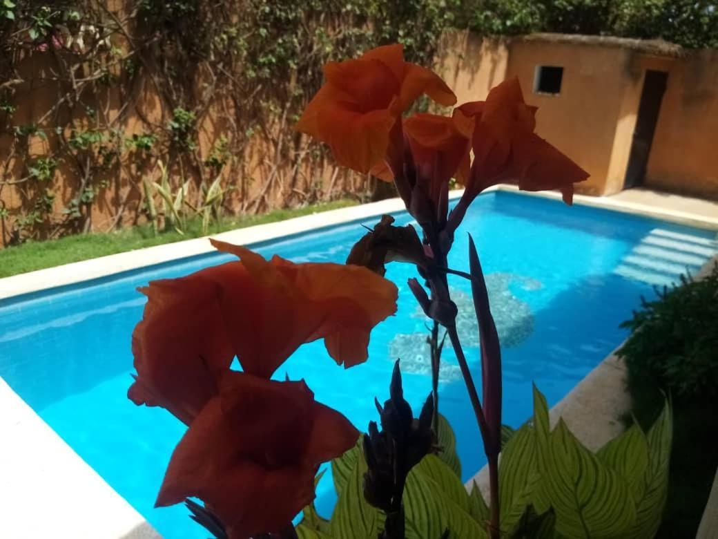 Villa Dallie Saly Exterior foto